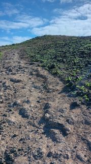 GC-Mirador de la Cruz (Las Palmas) 2026-12.jpg